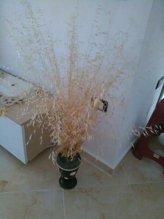 Vlorë Lindita'S Seaview Appartment מראה חיצוני תמונה